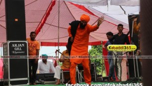 aujla_(kapurthala)_mela_16_jun_2015_