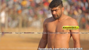 baddowal_(ludhiana)_kabaddi_cup_17_feb_2016