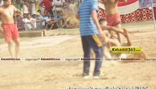 bareta_(mansa)_kabaddi_tournament_16_aug_2015
