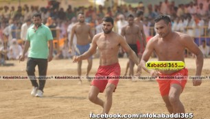 bhinder_(moga)_kabaddi_tournament_15_sep_2015