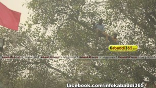 dhura_(sangrur)_kabaddi_tournament_7_nov_2015