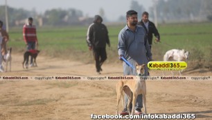 gholia_khurd_(moga)_dog_racing_13_dec_2015