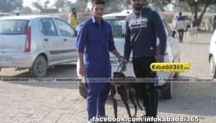 gholia_khurd_(moga)_dog_racing_13_dec_2015