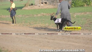 gholia_khurd_(moga)_dog_racing_13_dec_2015