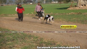 gholia_khurd_(moga)_dog_racing_13_dec_2015