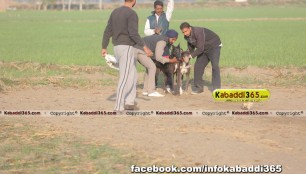 gholia_khurd_(moga)_dog_racing_13_dec_2015