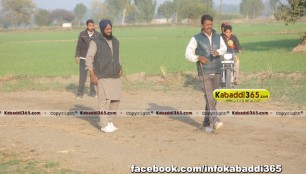 gholia_khurd_(moga)_dog_racing_13_dec_2015
