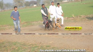 gholia_khurd_(moga)_dog_racing_13_dec_2015