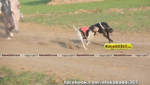 gholia_khurd_(moga)_dog_racing_13_dec_2015