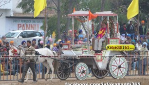 ghoman_(gurdaspur)_kabaddi_cup_17_jan_2016