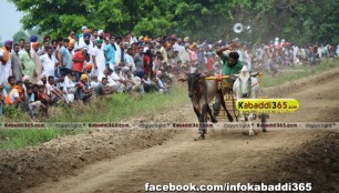 ikolaha_(khana)_ox_race