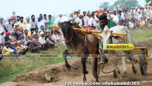 ikolaha_(khana)_ox_race