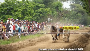 ikolaha_(khana)_ox_race