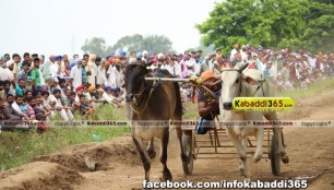 ikolaha_(khana)_ox_race