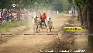 ikolaha_(khana)_ox_race