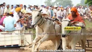 ikolaha_(khana)_ox_race