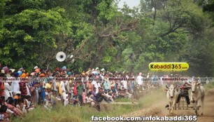 ikolaha_(khana)_ox_race