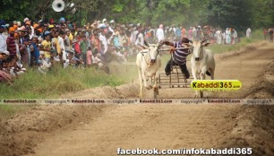 ikolaha_(khana)_ox_race