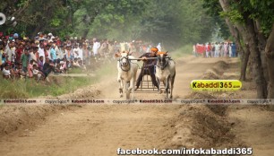 ikolaha_(khana)_ox_race