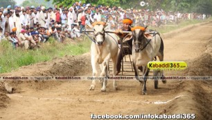 ikolaha_(khana)_ox_race