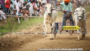 ikolaha_(khana)_ox_race