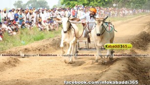 ikolaha_(khana)_ox_race