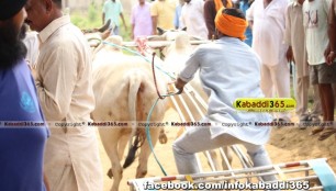 ikolaha_(khana)_ox_race