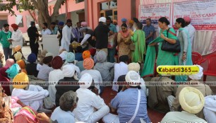 jaito_(faridkot)_samuhik_vivah_4_march_2016
