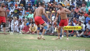 malerkotla_kabaddi_cup_20_feb_2015
