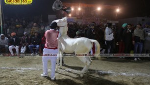 manuke_gill_(moga)_kabaddi_cup_11_jan_2015