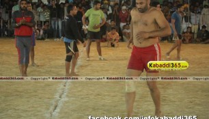 nateha_(mansa)_kabaddi_tournament_21_feb_2016