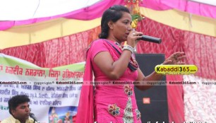 paila_(hoshiarpur)_mela_3_jun_2015