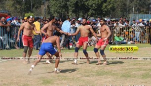 patiala_kabaddi_cup_8_feb_2015