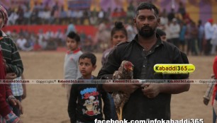 powadra_(jalandhar)_kabaddi_cup_25_feb_2016