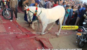 rode_(moga)_kabaddi_tornament_13_feb_2015