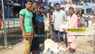rode_(moga)_kabaddi_tornament_13_feb_2015