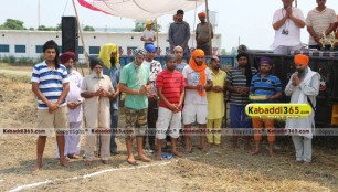 sandwan_(phagwara)_ox_race_17_may_2015