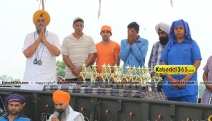 sandwan_(phagwara)_ox_race_17_may_2015