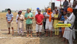 sandwan_(phagwara)_ox_race_17_may_2015