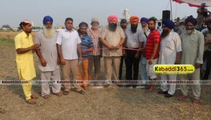 sandwan_(phagwara)_ox_race_17_may_2015