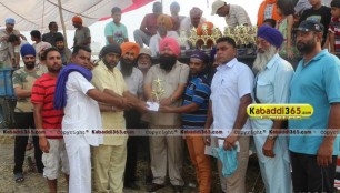 sandwan_(phagwara)_ox_race_17_may_2015