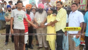 sandwan_(phagwara)_ox_race_17_may_2015
