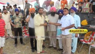 sandwan_(phagwara)_ox_race_17_may_2015