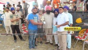 sandwan_(phagwara)_ox_race_17_may_2015