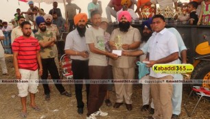 sandwan_(phagwara)_ox_race_17_may_2015