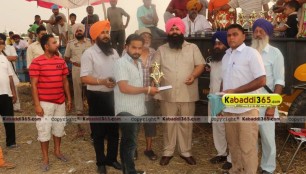 sandwan_(phagwara)_ox_race_17_may_2015