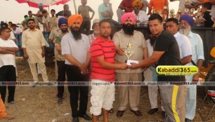 sandwan_(phagwara)_ox_race_17_may_2015