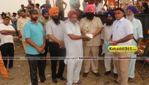 sandwan_(phagwara)_ox_race_17_may_2015