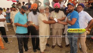 sandwan_(phagwara)_ox_race_17_may_2015