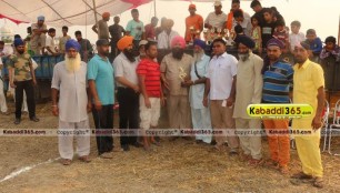sandwan_(phagwara)_ox_race_17_may_2015